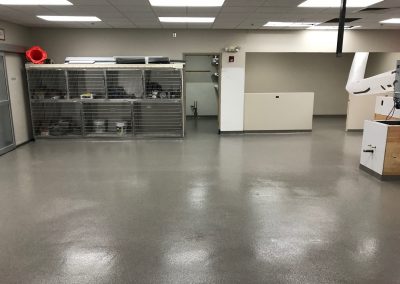 Lab