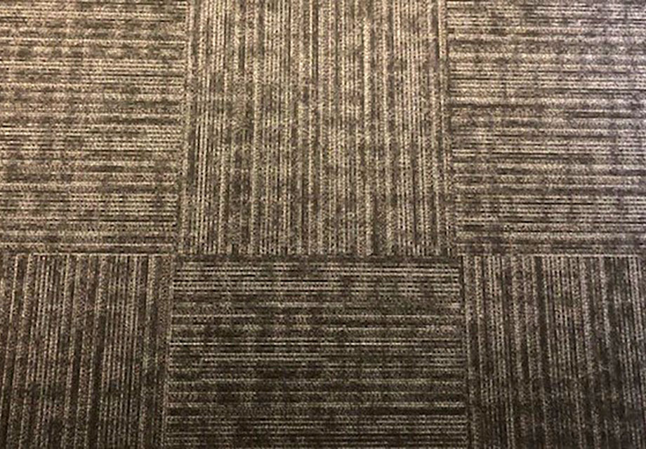 Sugar River Valley Regional Technical Center flooring by Northeast Flooring Solutions