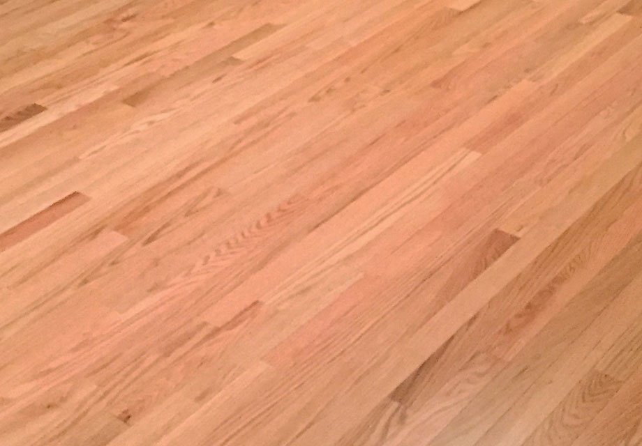 Sugar River Valley Regional Technical Center flooring by Northeast Flooring Solutions