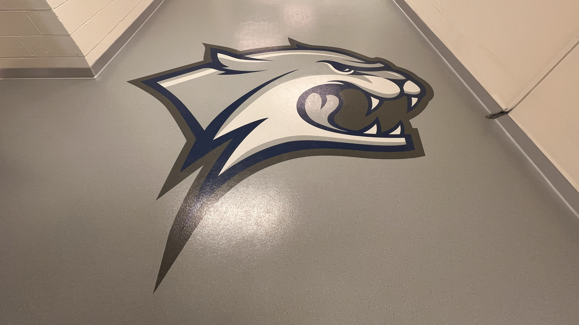UNH Wildcat floor